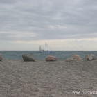 Grenen