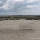 Die Wanderdüne Råbjerg Mile