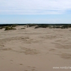 Råbjerg Mile Wanderdüne