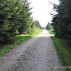 Weg in Nr. Rubjerg