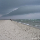 Grenen
