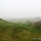 Nebel in Lønstrup