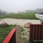 Nebel in Lønstrup