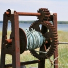 Alte Winde am Strand
