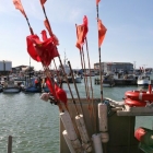 Fischerboote in Hirtshals