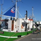 Boot für Angeltouren