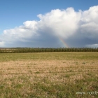 Regenbogen über Dänemark