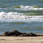 Strandbuddelei