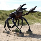 Krabbe am Slette Strand