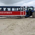 Sandormen in Grenen