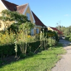 Das Gl. Elværk