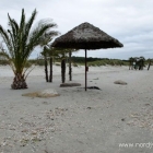 Der Palmenstrand von Frederikshavn