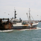 Trawler im Hafen von Hirtshals