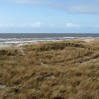 Dünen und Meer