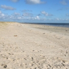 Blåvand Strand