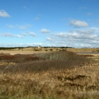 Holmsland Klit bei Nymindegab