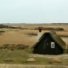 Hütte auf Holmsland Klit