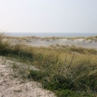 Dünen in Vejers