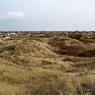 Dünenlandschaft in Vejers