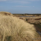 Dünen