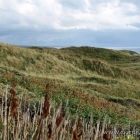 Blick auf die Dünen von Tornby