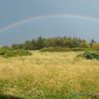 Regenbogen