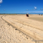 Grenen Strand / Skagerrak