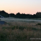 Bodennebel in Tornby