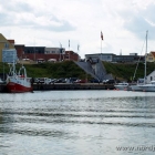 Die Trappen in Hirtshals