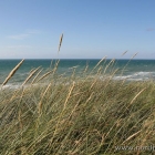 Meer und Dünen