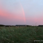 Regenbogen am Abend