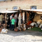 Mittelalterfest im Børglum Kloster