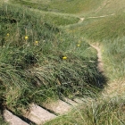 Weg durch die Dünen zum Strand