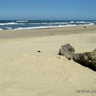 Strand und Strandgut