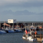 Fischerboote im Hafen von Hirtshals