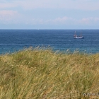 Meer