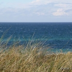 Strandhafer und Meer