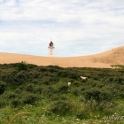 Rubjerg Knude