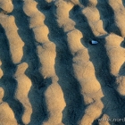 Wellen im Sand