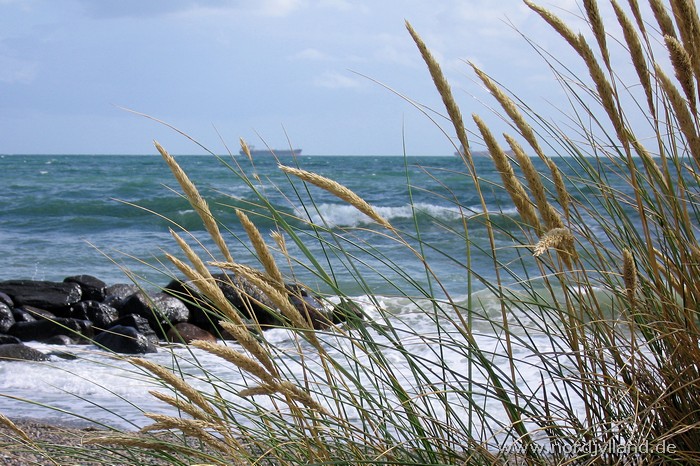 Grenen