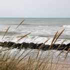 Lonstrup Strand Strandhafer