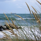Grenen