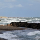 Bunen in Grenen