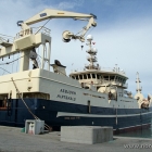 Fischtrawler in Hirtshals