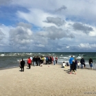 Grenen Strand Wellen