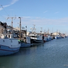 Hirtshals Hafen Fischerboote