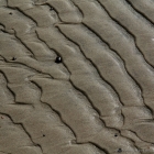 Strand Wellenmuster