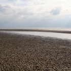 Ebbe in Blåvand