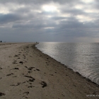 Blåvand Strand