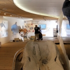 neu eingerichtetes Kaskelot huset